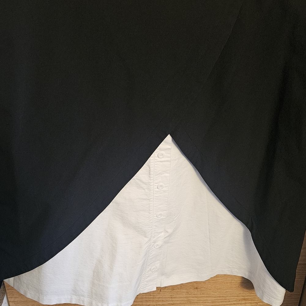 Black A-Line Skirt with White Underlayer